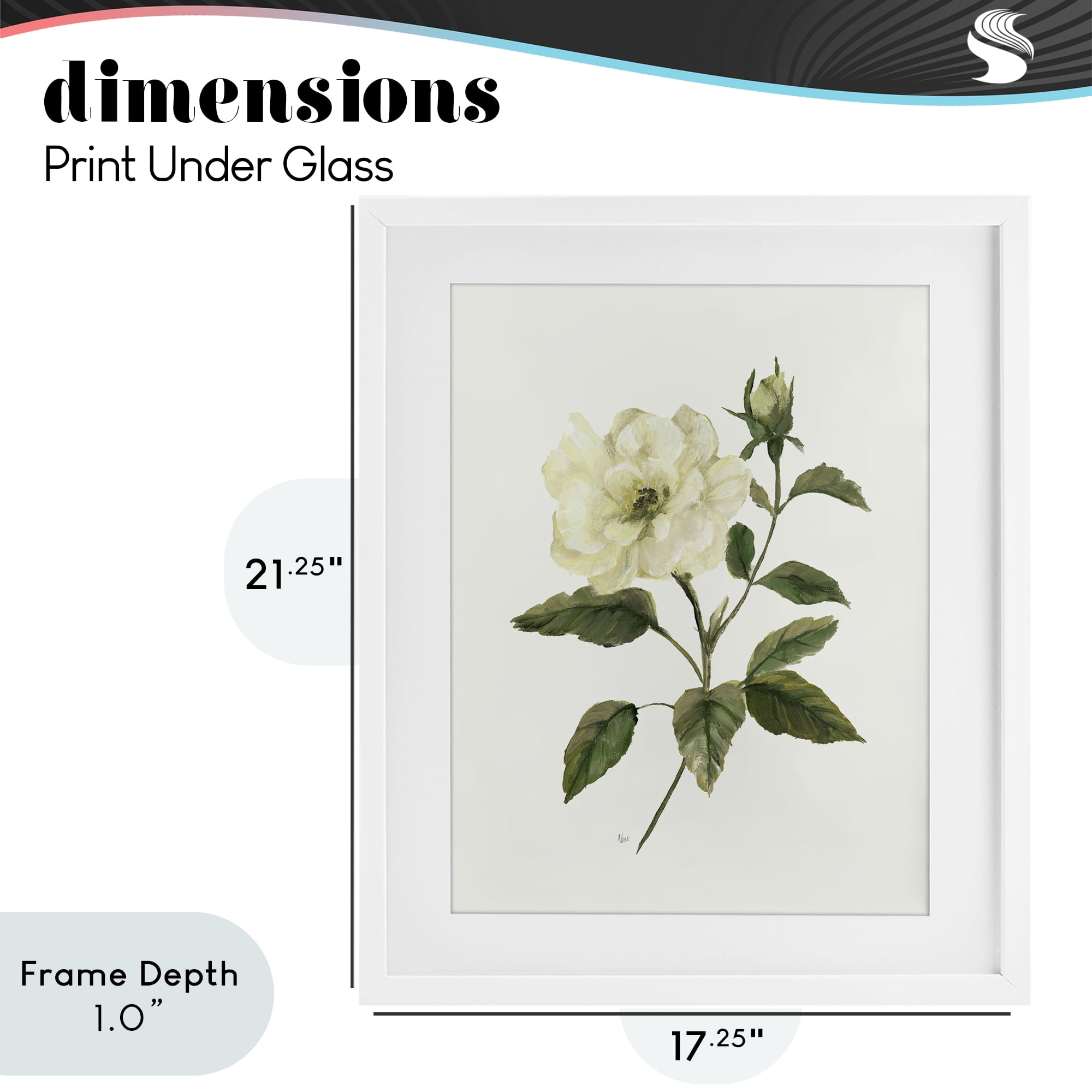 Stupell Industries Ivory Rose Bloom With Green Foliage White Framed Print Under Glass, design by Nan
