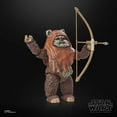 thumbnail image 6 of Star Wars The Black Series Wicket, Star Wars: Return of the Jedi 6-Inch Action Figures, 6 of 6