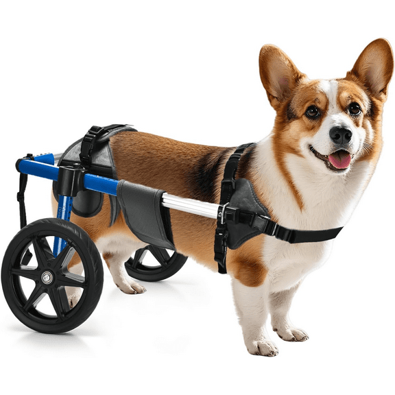 Adjustable Dog Wheelchair for Back Legs Aluminum Frame with Padded Harness for Medium Dogs, Corgi Dachshund Mobility Support Cart for Back Legs