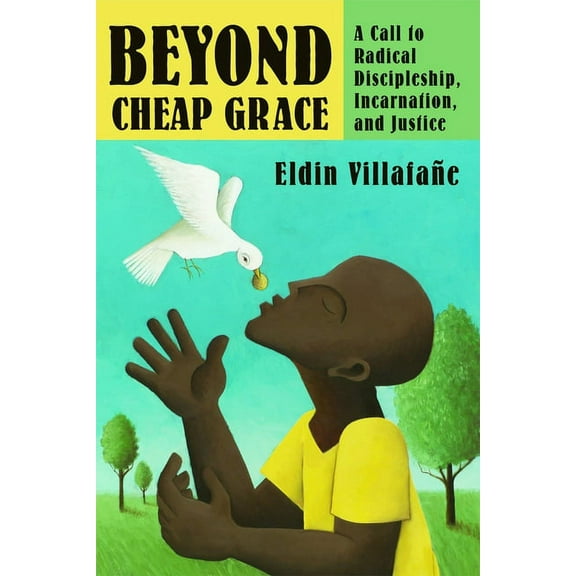 Beyond Cheap Grace : A Call to Radical Discipleship, Incarnation, and Justice (Paperback)