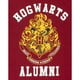 thumbnail image 4 of Harry Potter - Juego de Pijama Alumni Hogwarts para Mujer (Rojo/Gris), 4 of 4