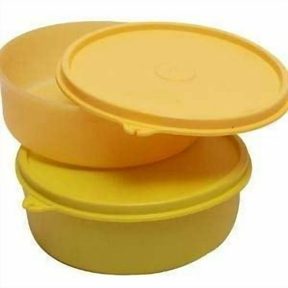 Tupperware Executive Plastic Container Set, 150ml, Set of 2, Assorted Color