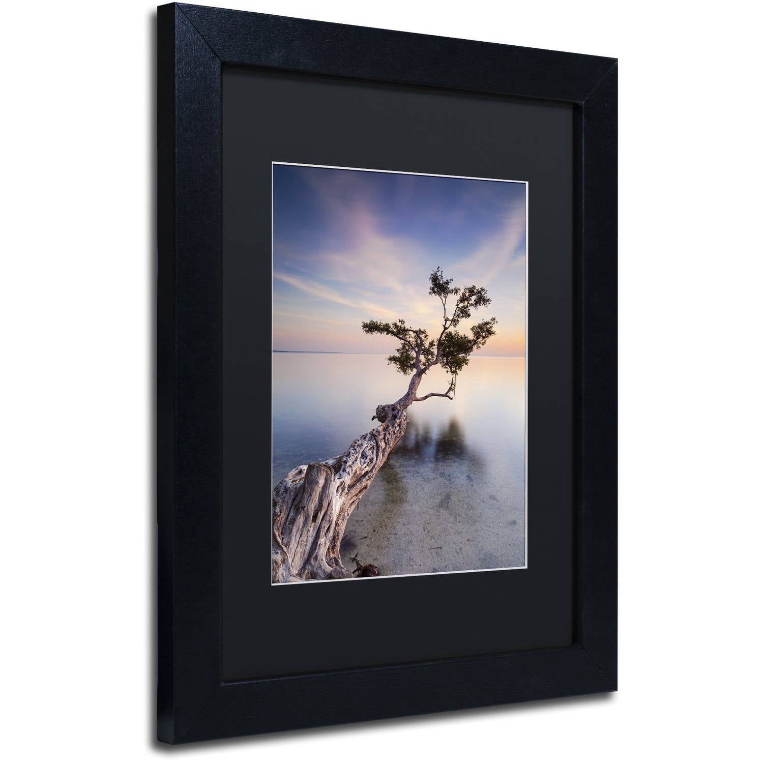Trademark Fine Art "Water Tree X" Canvas Art by Moises Levy Black Matte, Black Frame