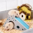 thumbnail image 4 of WEIOUKC Hamster House Hideout with Ladder, Hamster & Guinea Pig House, Durable Chew-Proof, Cozy Sleeping Shelter for Bunnies, Rabbits & Chinchillas, 4 of 7