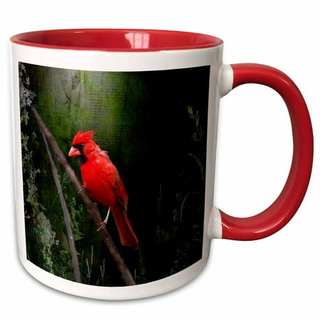 3drose Wild Brid Cardinal Bird In Spring Art Home Decor Two