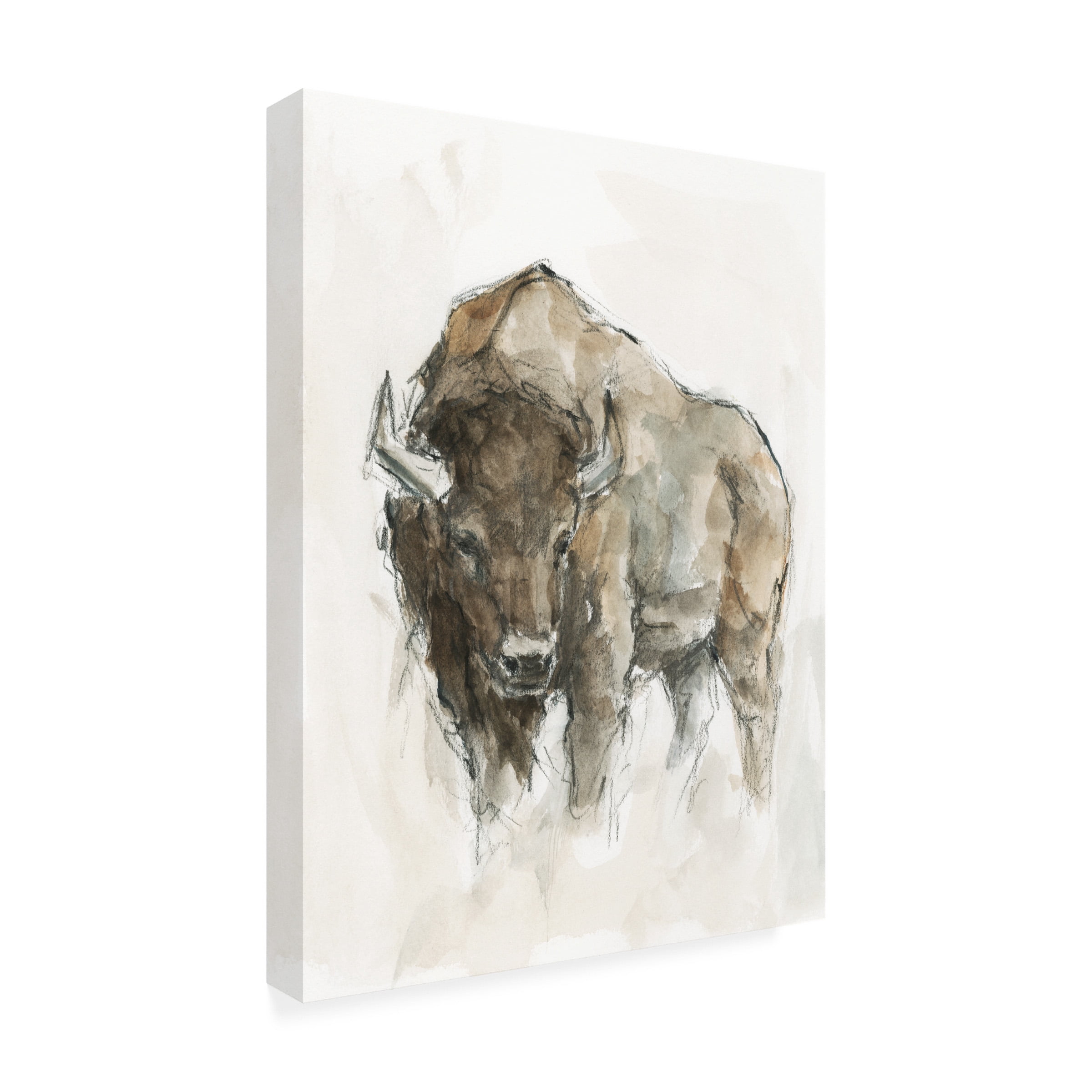 Ethan Harper ' Buffalo II' Canvas Art