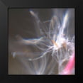 thumbnail image 2 of Hunt, Gillian 20x20 Black Modern Framed Museum Art Print Titled - Fairy Dance IV, 2 of 5