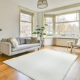 thumbnail image 1 of Faux Fur Rug Plush Rug Washable Area Rugs for Bedroom Fluffy Rabbit Fur Rug for Living Room Teen Room Home Decor Rectangle Rug (Ivory, 2x3), HB6805, 1 of 6