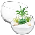thumbnail image 1 of 2 Pcs Glass Planters Glass Fish Bowl Glass Flower Pots Succulent Planter Pot Round Flower Vase, 1 of 9
