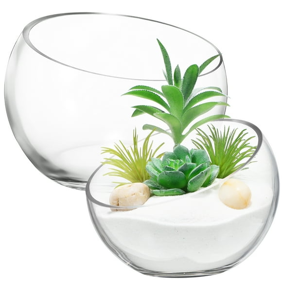 2 Pcs Glass Planters Glass Fish Bowl Glass Flower Pots Succulent Planter Pot Round Flower Vase