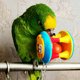 thumbnail image 4 of Sywqhk Pet Bird Bites Toy Parrot Chew Ball Swing Cage Hanging Cockatiel (Cachorros) Sywqhk Para estrenar, 4 of 6