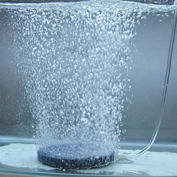 Air Bubble Stone Aerator Hydroponic Oxygen Plate for Aquarium Fish Tank, 4cm
