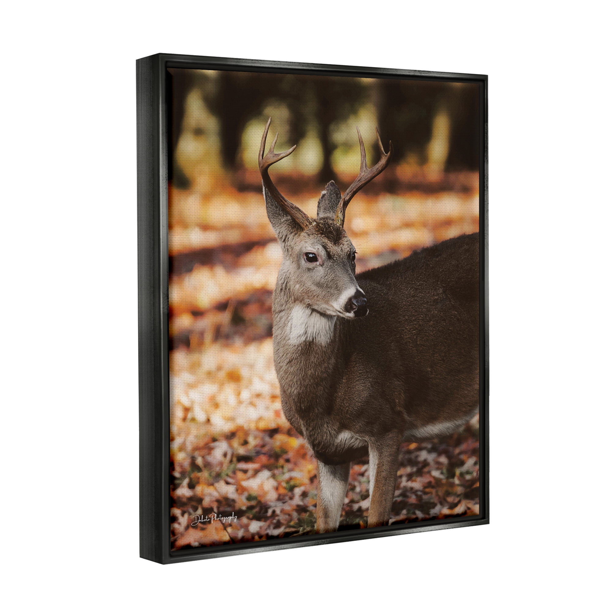 Stupell Industries Deer in Fall Foliage Animals & Insects Photography Black Floater Framed Art Print Wall Art, 25 x 31