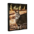 thumbnail image 4 of Stupell Industries Deer in Fall Foliage Animals & Insects Photography Black Floater Framed Art Print Wall Art, 25 x 31, 4 of 10