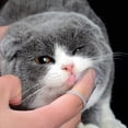 thumbnail image 3 of Cepillo de dientes transparente para mascotas, blanco lechoso, para perros y gatos, juego combinado de 8 cepillos de dientes profesionales para perros y gatos, higiene dental para mascotas Adepaton 2034756, 3 of 9