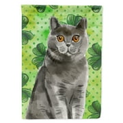 Carolines Treasures CK3063CHF British Shorthair Shamrock Flag Canvas House Size Large multicolor