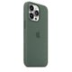 thumbnail image 2 of Funda navideña de silicona para iPhone 13 Pro 13pro, eucalipto, 2 of 3