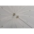 thumbnail image 2 of Elinchrom 41" Deep Umbrella, Translucent, 2 of 2