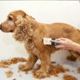thumbnail image 5 of Tondeuse silencieuse, tondeuse pour chien à poils longs épais, tondeuse à cheveux pour animaux de compagnie, tondeuse professionnelle électrique rechargeable sans fil pour chien, chat, lapin esquí esquí Gafas de esquí, 5 of 5