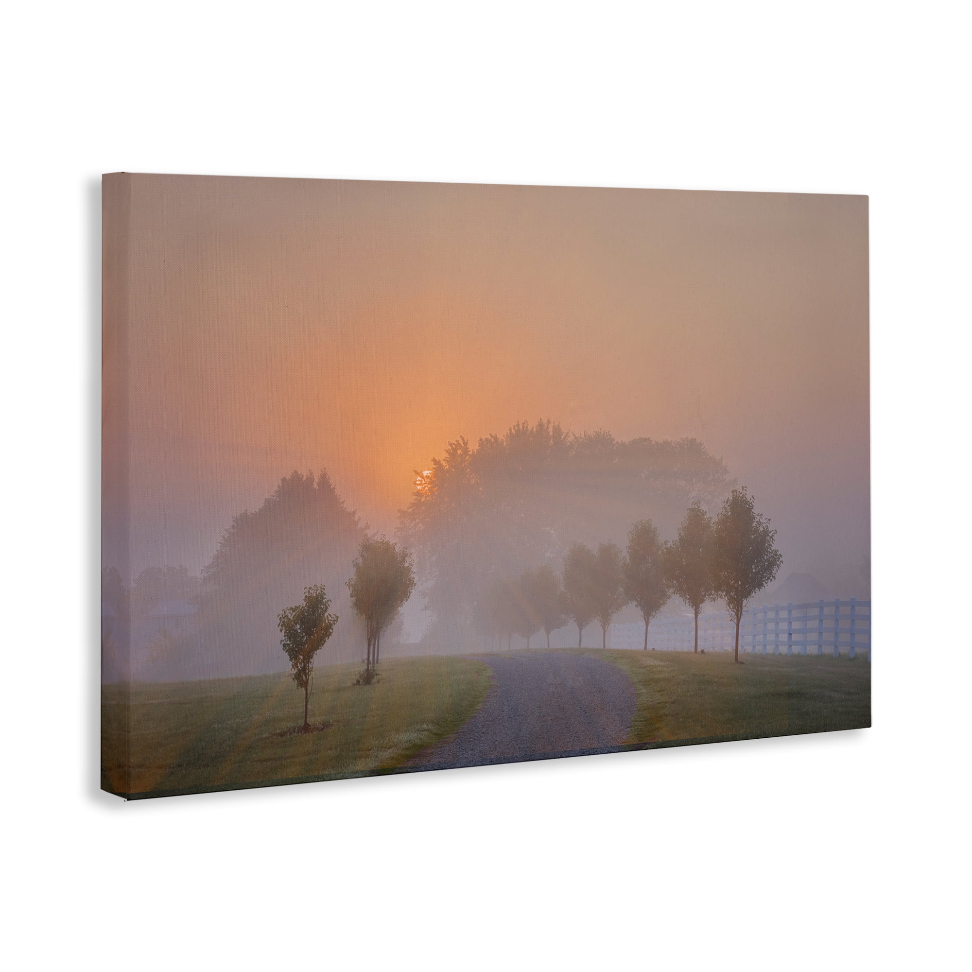 Stupell Industries Grove Path at Sunset Landscape & Nature Photography Wrapped Canvas Art Print Wall Art, 30 x 20