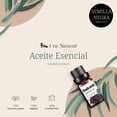 thumbnail image 3 of Aceites Esenciales Aromaterapia Semilla Negra Natural 100% Conjunto con Caja de Regalo 10 ML, 3 of 6