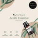 thumbnail image 3 of Aceites Esenciales Aromaterapia Semilla Negra Natural 100% Conjunto con Caja de Regalo 10 ML, 3 of 6