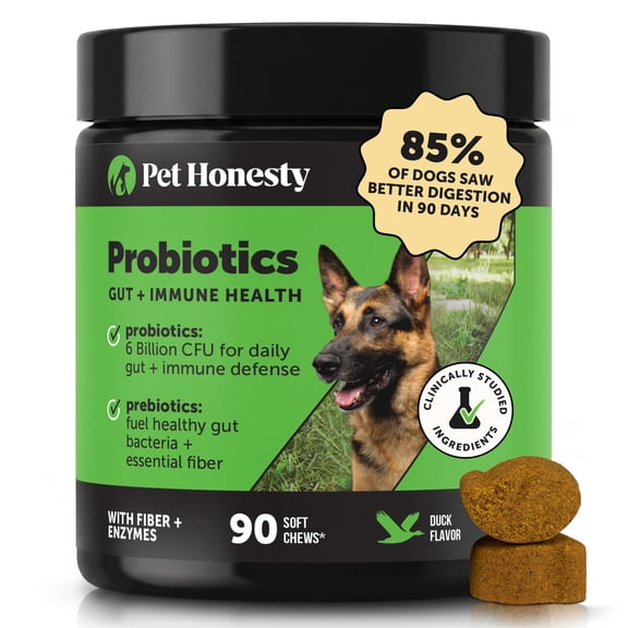 Pet Honesty Gut   Immune Health Digestive Probiotic Chews with Prebiotics, Digestive Enzymes, Daily Gut Health & Immune Support for All Dogs (Duck, 90 Ct)