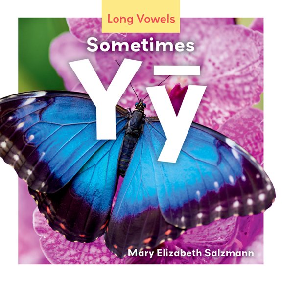 Long Vowels Sometimes Yy, (Hardcover)
