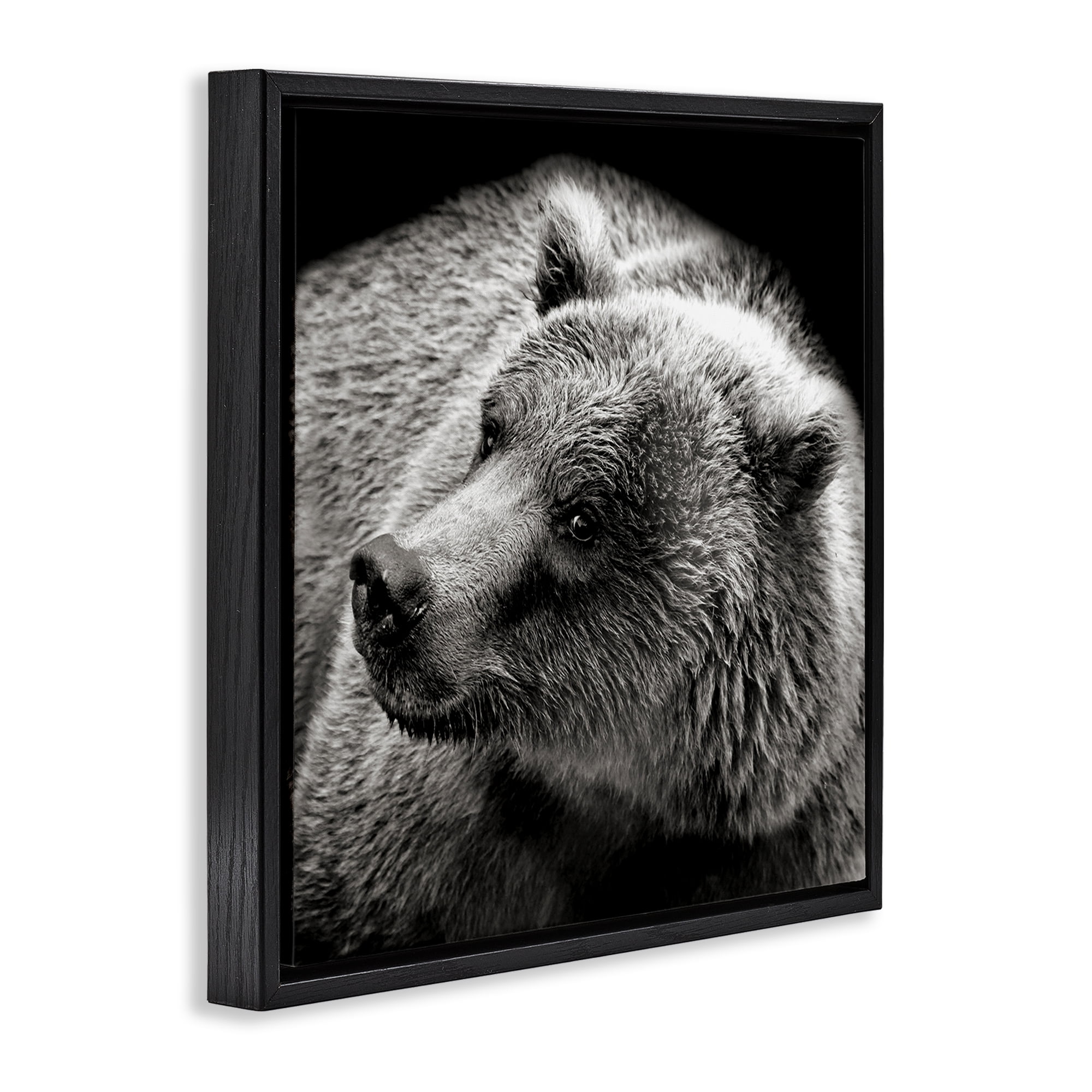 Stupell Industries Bear Looking Left Animals & Insects Photography Black Floater Framed Canvas Art Print Wall Art, 25 x 25