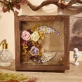 thumbnail image 4 of Insect Display Case Shadow Box for Insect Display with Clear Top Insect Specimen Storage Box Wood Insect Storage Case for Collecting Specimen 8 x 8 Inch, 4 of 9