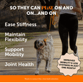 thumbnail image 2 of Pet Honesty Dog, Hip & Joint Health Support Supplement w Glucosamine Turmeric and Fish Oil, Chicken Flavor, 60 Count Soft Chews, 2 of 8