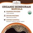 thumbnail image 5 of Fresh Roasted Coffee, Organic Honduran Marcala Coffee, Medium Roast, Drip Ground, 32 oz 2 lbs, 5 of 12