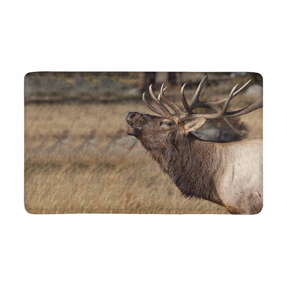 Wild Elk in the Rocky Mountains Bathroom Rug Non-Slip Floor Door Mat 16x24" 