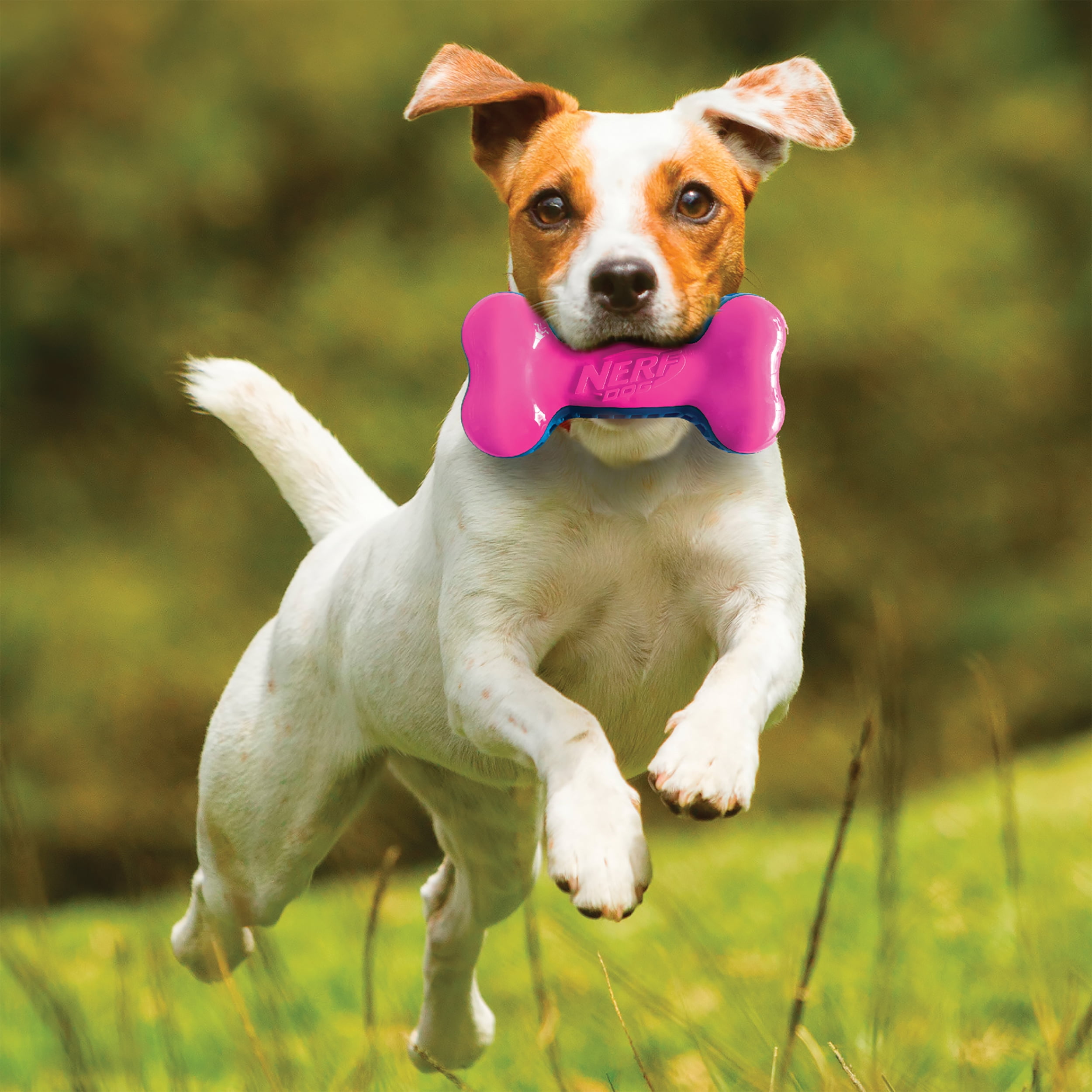 NERF Dog EXO Squeak Bone Dog Toy 7inch