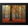 thumbnail image 2 of Podt, Martin 24x19 Black Modern Framed Museum Art Print Titled - Miss Misty, 2 of 5