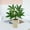 A, variant on Yonrjhukm Simulated Potted Plants Decor, Realistic Indoor Artificial Greenery for Home, Living Room, Bedroom, Office, Low Maintenance Faux Flower Bonsai, Durable Ceramic Base