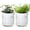 White, variant on 4 Inch Self Watering Planter Pot, Terracotta Clay Pot with Glass Reservoir for Indoor Plants, Herbs, Flowers, Set of 1, 52-A-E-1