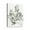 Plante (91), variante sur 12x16 Art Mural Botanique Non Encadré Impressions Florales de Cuisine & Décoration Bohème Eucalyptus
