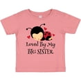 thumbnail image 3 of Inktastic Little Sister Ladybug Girls Baby T-Shirt, 3 of 5