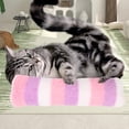 thumbnail image 4 of Clearance Hotyverty Cat Pillows Toys, Soft Catnip Toy, Cat Chew Toy Exercise Kicker for Indoor Cats Kittens Kitty B, 4 of 6