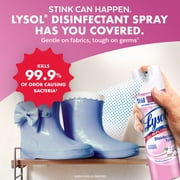 Lysol Disinfectant Spray, Sanitizing and Antibacterial Spray, Deodorizer, Early Morning Breeze, 19 oz