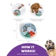 thumbnail image 3 of Juego interactivo de rompecabezas para perros y alimentador lento Outward Hound, 3 of 6