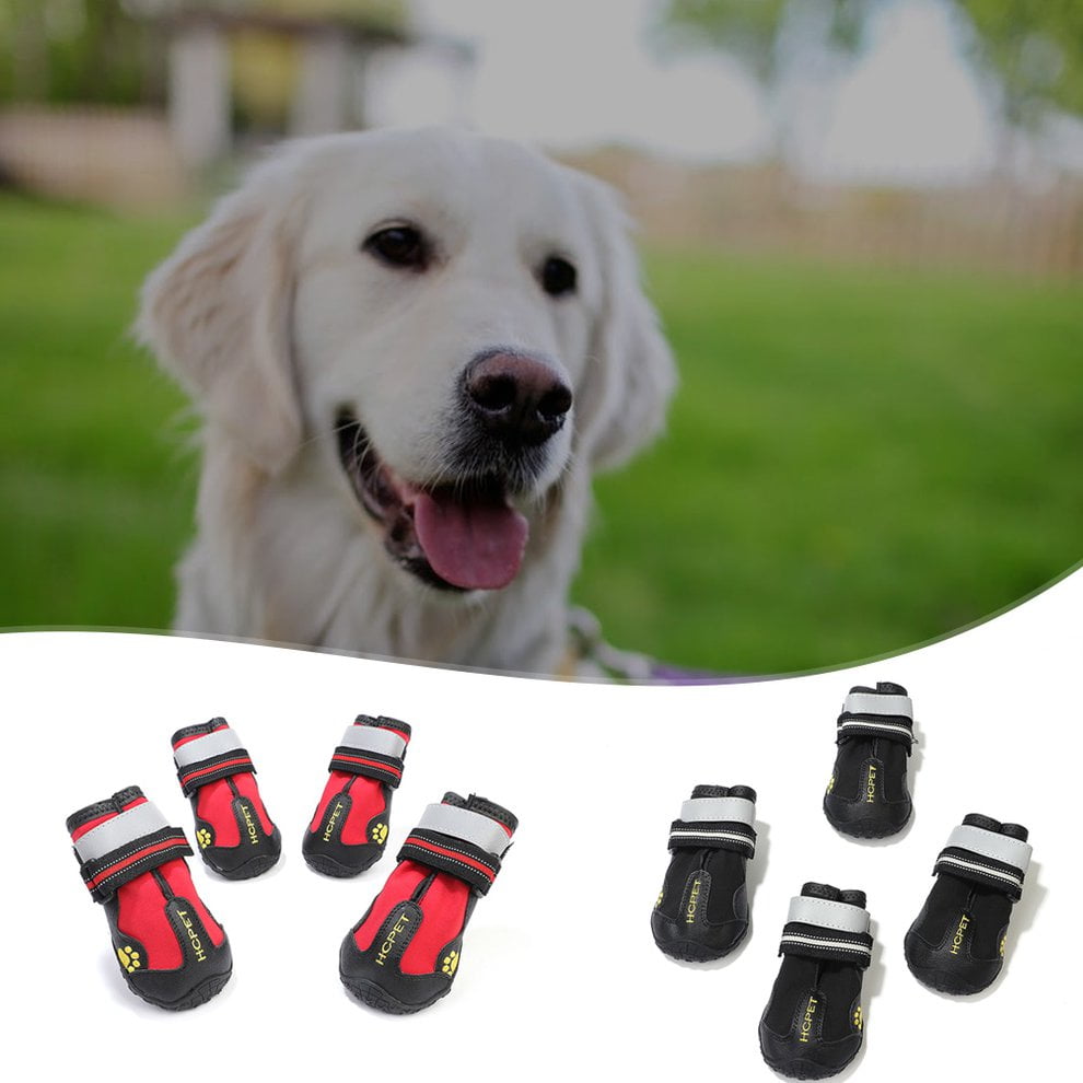 dog shoes for summer