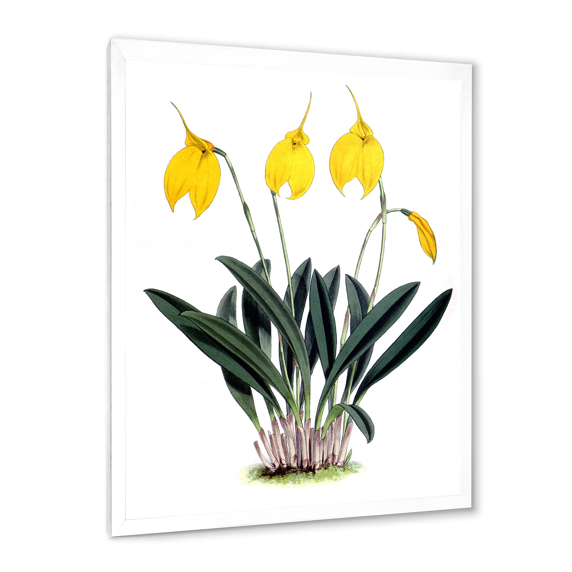 Designart 'Orchid Retro Flowers' Farmhouse Framed Art Print