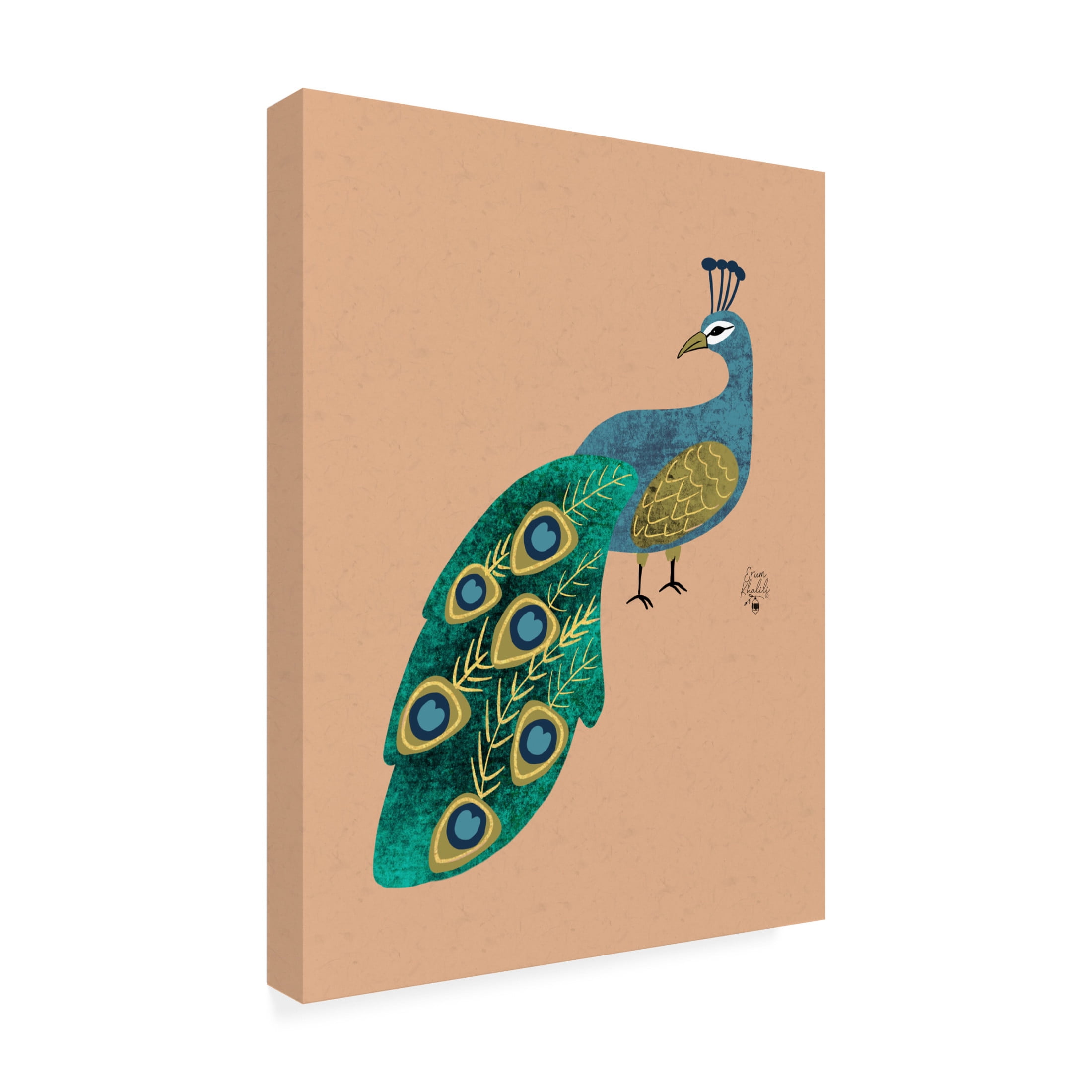 Trademark Fine Art Erum Khalili Peacock Canvas Wall Art