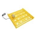 thumbnail image 1 of Egg Incubator Tray, Multifunction Automatic Egg Turner Incubator Tray Eggs Automatic Egg Turner Turning Tray for 16 Duck Eggs 16 Eggs 72 Quail Eggs Incubation, 1 of 7