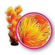 Weco Dream Series Orange Pom Pom Plant