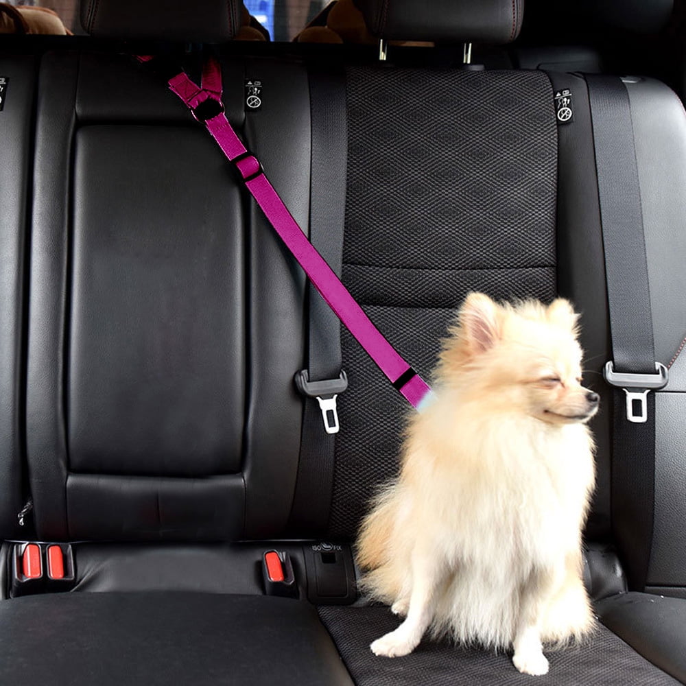 dog safety leash car seat belt