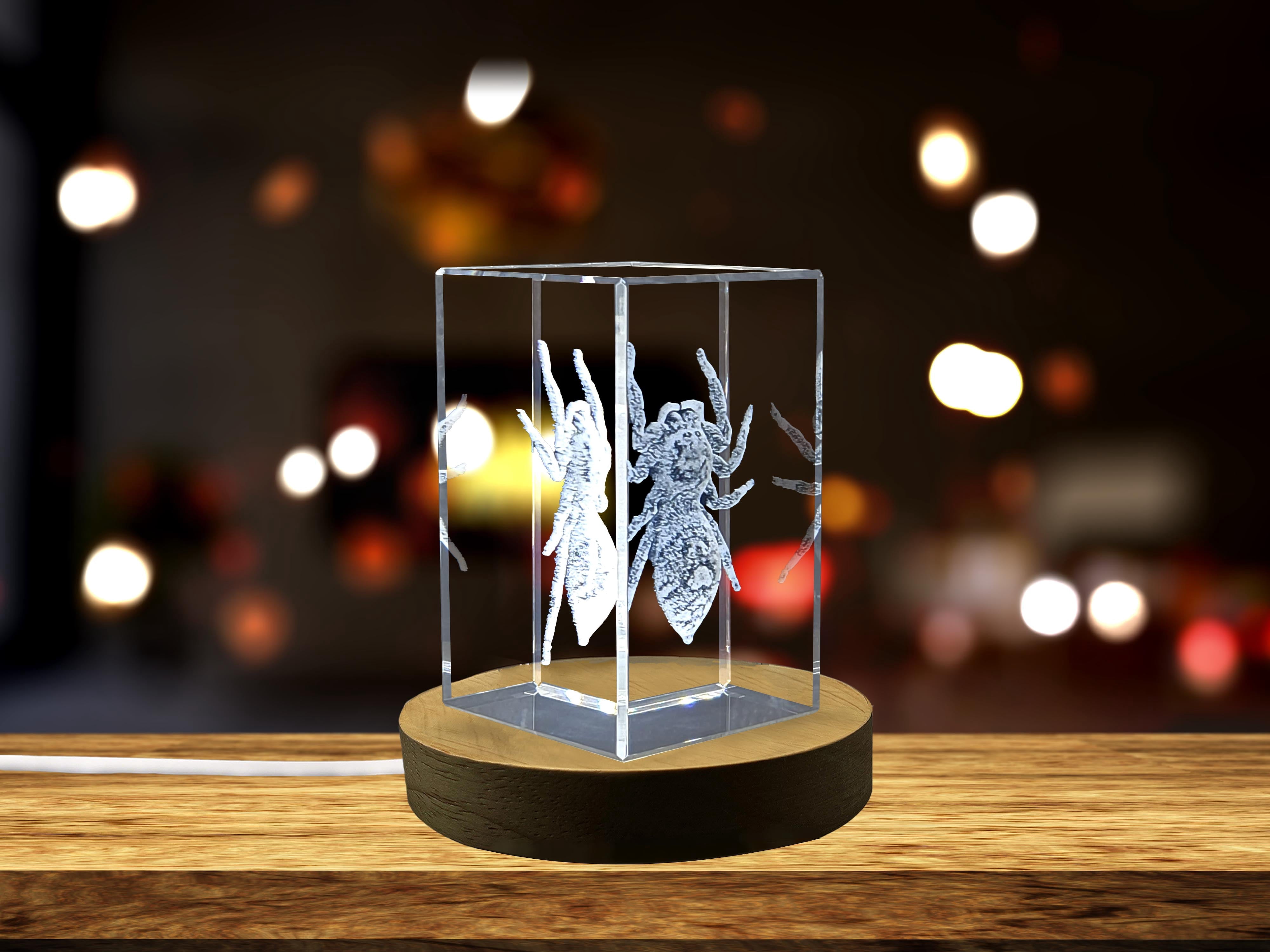 Beautiful 3D Engraved Crystal with Jumping Spider Design