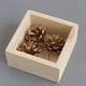 thumbnail image 1 of Fiudx Caja de Almacenamiento de Madera, Diseño Natural, Material Ecológico y Duradero, Organizador de Escritorio, Multifuncional Como Macetero, Decoración para El Hogar y La Oficina, 9,3 X 9,3 X 4,5, 1 of 6